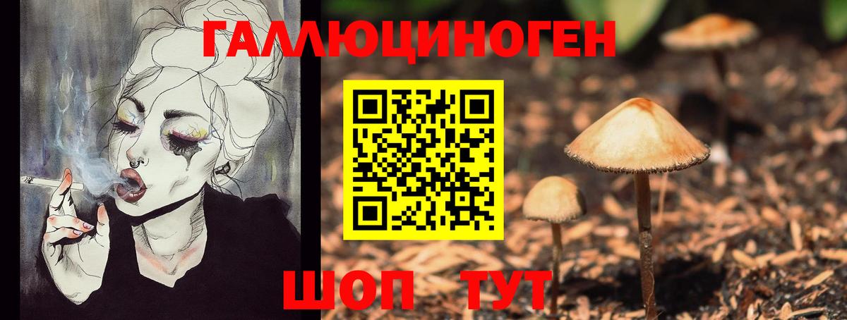 Псилоцибиновые грибы прущие грибы Уссурийск